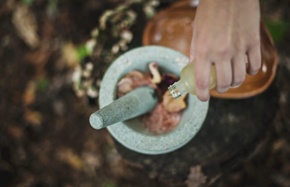 learn ayurveda suggestions