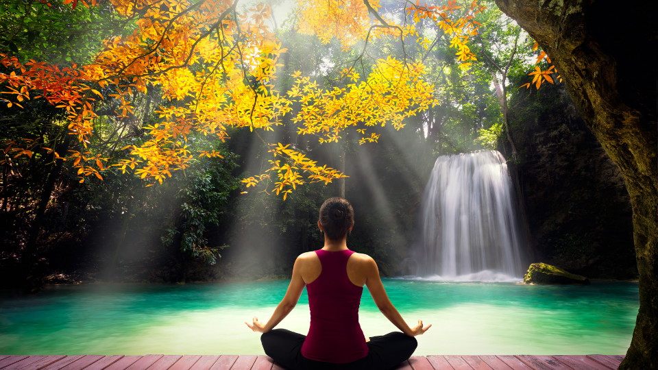 1st house astrology: Strong Aura